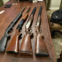 Savage Stevens 555E MC5