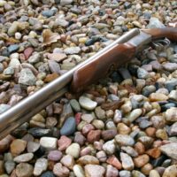 Stoeger Uplander Field Shotgun